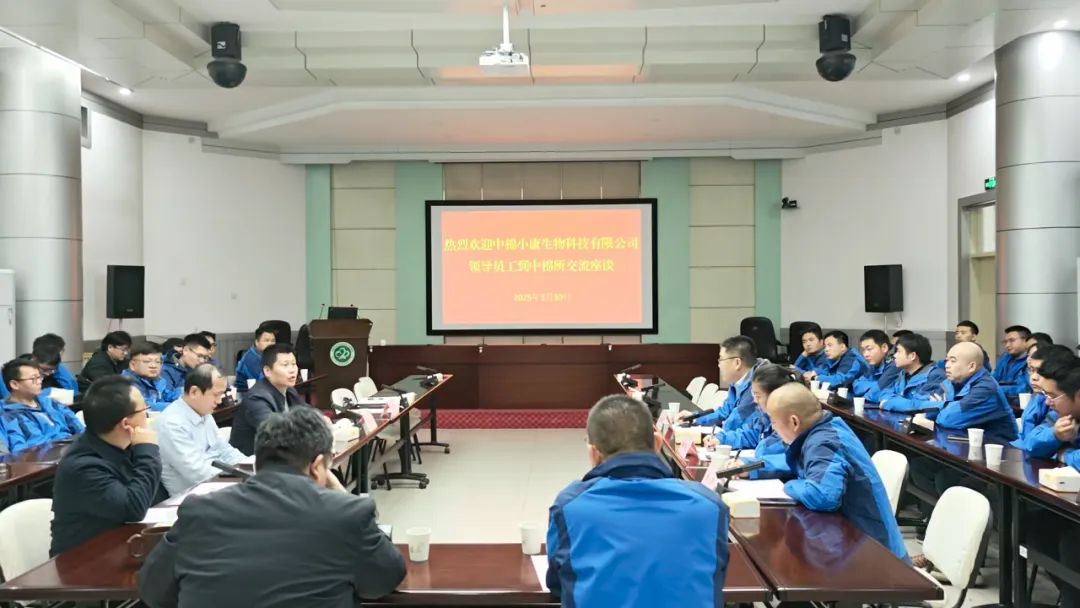 图片12